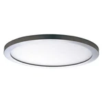 Maxim 58712WT Wafer 7" Indoor / Outdoor Led Ceiling Light Wall - Nickel. Fixed Price $49.30.