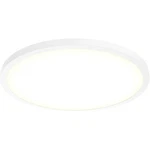 Dals Lighting CFLEDR24-CC-WH Delta Flush Mount White. Fixed Price $337.54.