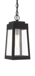 Livex Lighting 20854 Black Oslo Single 6"W Outdoor Mini Pendant. Fixed Price $295.96.