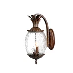 Acclaim Lighting 7502 18"H Pineapple Outdoor Wall Sconce - Black. Fixed Price $152.00.