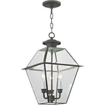Livex Lighting 2385-61 Westover 12 Inch Charcoal Outdoor Pendant Lantern. Fixed Price $519.96.