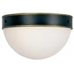 Crystorama Capsule 2 Light Outdoor Ceiling Mount Matte Black, Textured Gold -. Fixed Price $218.00.
