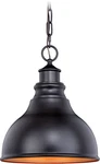 Vaxcel Lighting T0317 Bronze Delano Single 11"W Outdoor Pendant. Fixed Price $188.99.