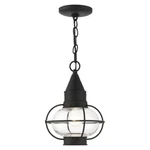 Livex Newburyport Light Outdoor Pendant Lantern, Black 26910-04. Fixed Price $345.96.