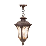 Livex Lighting Oxford Outdoor Chain Hang Imperial Bronze 7654-58. Fixed Price $219.96.