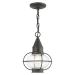 Livex Newburyport Light Outdoor Pendant Lantern, Charcoal 26910-61. Fixed Price $349.96.