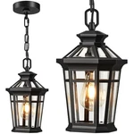 Opaxis Outdoor Pendant Lights For Porch, Black 7''-STANDARD Size,. Fixed Price $111.93.