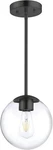 Minka Lavery 2790-66A Auresa Pendant/semi-flush, 1-LIGHT Coal Black. Fixed Price $38.99.