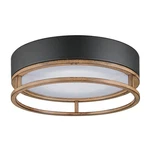 Globe Electric 44663 1-LIGHT Integrated Led Outdoor/indoor Flush Mount Ceilin.... Fixed Price $98.71.