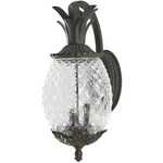 Acclaim Lighting 7512BC Lanai 3 22 Inch Black Coral Exterior Wall Mount. Fixed Price $168.00.