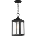 Livex Lighting 20591-04 Nyack Outdoor Pendant Chandeller. Fixed Price $295.96.