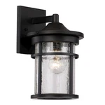 Trans Globe Avalon 11" Light Outdoor Wall Lantern, Black/crackled - 40380BK. Fixed Price $89.99.