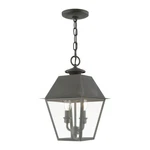Livex Wentworth Light Outdoor Medium Pendant Lantern, Charcoal 27217-61. Fixed Price $499.96.