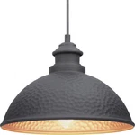 Progress Lighting P550032-031 Pendant 1-LIGHT 100W Black Copper Damp Location. Fixed Price $171.52.