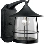 Progress Lighting Prairie Collection 1LIGHT Clear Seeded Glass Craftsman. Fixed Price $162.90.
