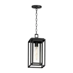 Black One Light Outdoor Pendant From The Cabana Vx Collection. Fixed Price $164.00.