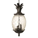 Acclaim Lighting Lanai 3 Hanging Light, Matte Black - 7516BK. Fixed Price $184.00.