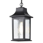 Nuvo Lighting 60/5958 Stillwell 7"W Outdoor Mini Pendant - Black. Fixed Price $99.99.