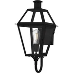 Earth Black Outdoor Wall Lantern From The Rue De Royal Collection. Fixed Price $299.99.
