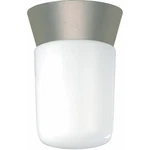Nuvo Lighting 77/155 4-1/4"W Outdoor Semi-flush Ceiling Silver. Fixed Price $28.99.