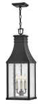 Museum Black Led Hanging Lantern From The Beacon Hill Collection. Fixed Price $519.00.