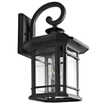 Safavieh Cendra Outdoor Wall Lantern Clear / Black. Fixed Price $113.29.
