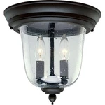 Progress Lighting P5562-31 Ashmore 2-LIGHT Outdoor Textured Black Flushmount New. Fixed Price $154.31.