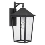 Quoizel STNL8409 Stoneleigh 20" Tall Outdoor Wall Sconce - Black. Fixed Price $271.99.
