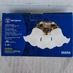 Westinghouse 3-LIGHT Ceiling Fixture Antique Brass Frosted Glass 11IN Mpn 66686. Fixed Price $18.99.