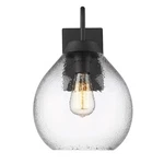Golden Lighting Ariella 1-LIGHT Outdoor Wall Light, Black/clear 1094-OWMNB-HCG. Fixed Price $84.99.