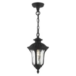Livex Oxford Light Outdoor Small Pendant Lantern, Textured Black 7849-14. Fixed Price $119.96.