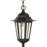 Nuvo Cornerstone Light 13" Hanging Lantern W/ Clear Seed Glass 60-993. Fixed Price $51.19.