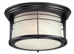 Westinghouse 66746 Senecaville Light 12 Inches Wide Outdoor - Bronze. Fixed Price $57.14.