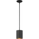 Volume Lighting 1-LIGHT Black Outdoor Pendant, V9605-5. Fixed Price $64.99.