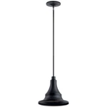 Kichler 59058BKT - Pendants Outdoor Lighting. Fixed Price $110.62.