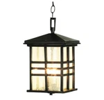 Trans Globe Huntington 2-LIGHT Black Outdoor Pendant With Seeded Glass. Fixed Price $59.88.