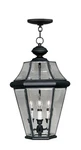 Livex Lighting 2365-04 Georgetown 13 Inch Black Outdoor Pendant Lantern. Fixed Price $499.96.