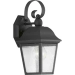 Progress Lighting Kiawah 1-LIGHT Black Outdoor Wall Lantern Seeded Glass. Fixed Price $79.99.
