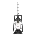 Acclaim Lighting 3496BK Hanging Kero, 1-LIGHT, Matte Black. Fixed Price $184.00.