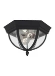 Sea Gull Lighting 78136-12 Wynfield Two-light Outdoor Ceiling Flush Mount. Fixed Price $62.55.