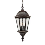 Acclaim Lighting 5516 Black Telfair 2-LIGHT 20"H Outdoor Pendant. Fixed Price $112.00.