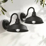 Arnett Rustic Outdoor Wall Light Fixtures Set Of Black Gooseneck 10 1/2" Barn. Fixed Price $274.99.