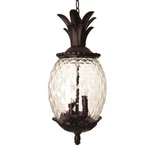 Acclaim Lighting Lanai 3 Hanging Light, Black Coral - 7516BC. Fixed Price $184.00.