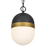 Crystorama Brian P. Flynn For Capsule 2-LT Outdoor Pendant CAP-8507-MK-TG. Fixed Price $198.40.