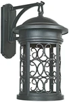 Ellington 20" High Traditional Oil-rubbed Bronze Outdoor Wall Light. Fixed Price $246.50.