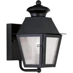 Livex Lighting 2160-04 Mansfield 9 Inch Black Outdoor Wall Lantern. Fixed Price $159.97.