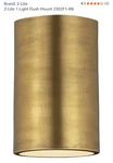 Z-lite 2302F1 Harley 5"W Flush Mount Ceiling Fixture Brass. Fixed Price $50.00.