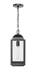 Millennium Lighting 194301-PBK Pendants Outdoor. Fixed Price $109.95.