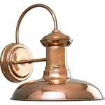 Progress Lighting P5722 Brookside 1 Dark Sky Outdoor Wall - Copper. Fixed Price $279.99.