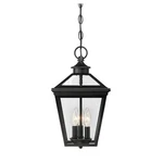 Savoy House Ellijay 3-LIGHT Outdoor Hanging Lantern, Black 5-146-BK. Fixed Price $368.00.